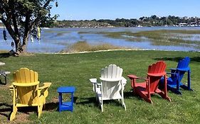The Buoys